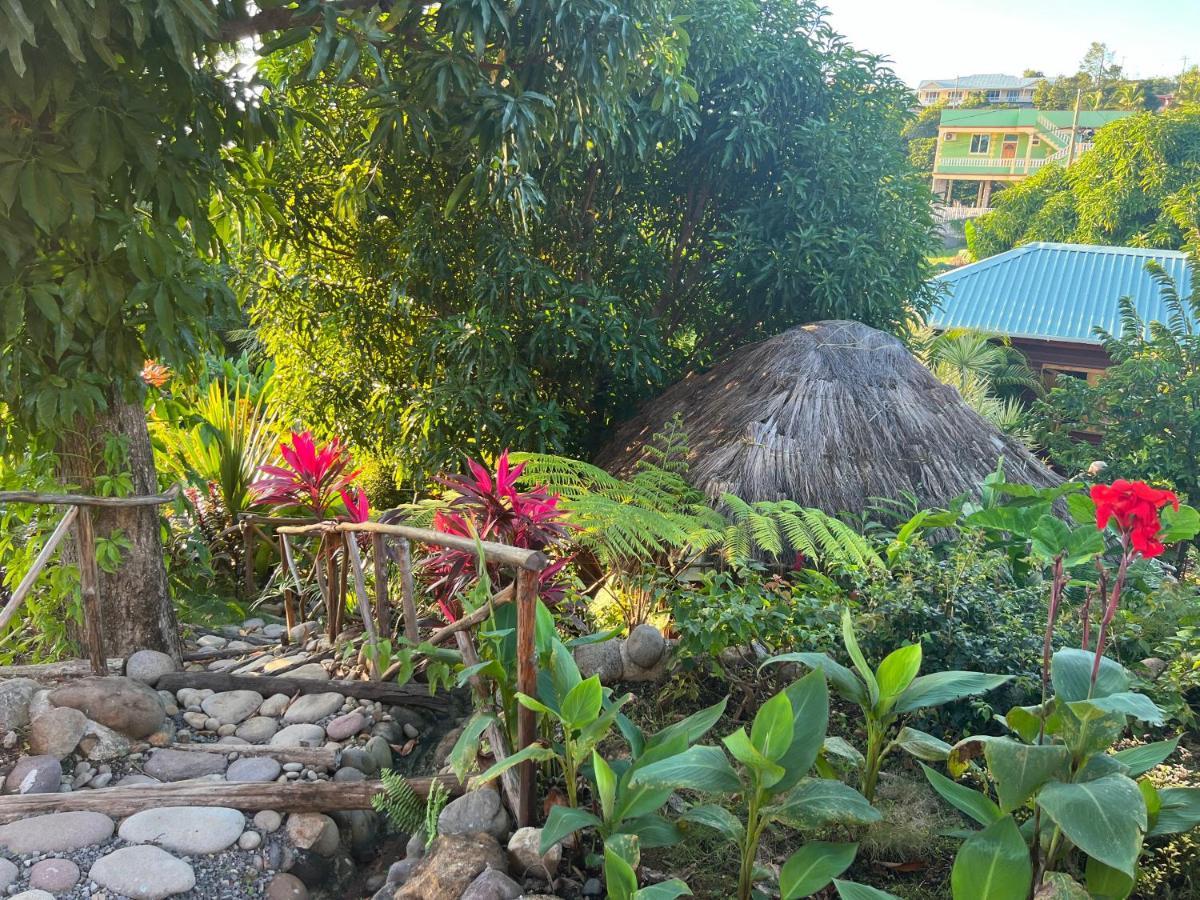 Orchid Resort Ltd Guillet Luaran gambar