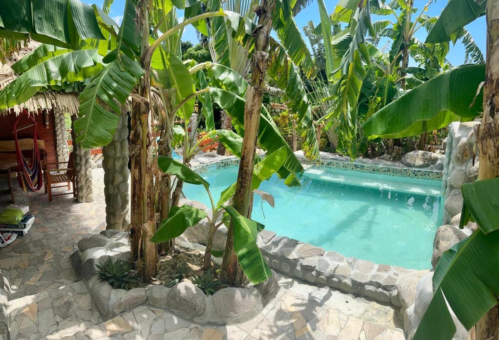 Orchid Resort Ltd Guillet Luaran gambar