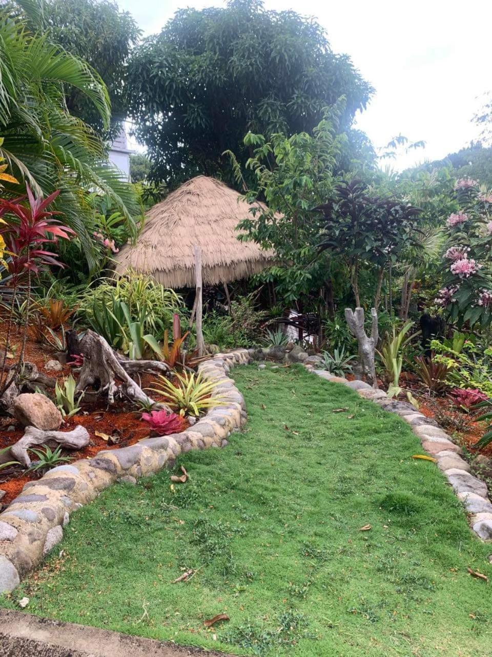 Orchid Resort Ltd Guillet Luaran gambar